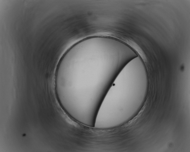 X0000102491436200808081046