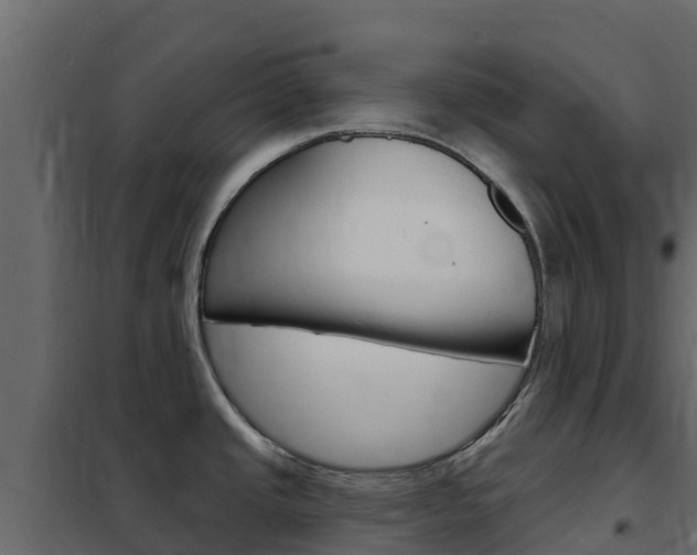 X0000102491437200808081046