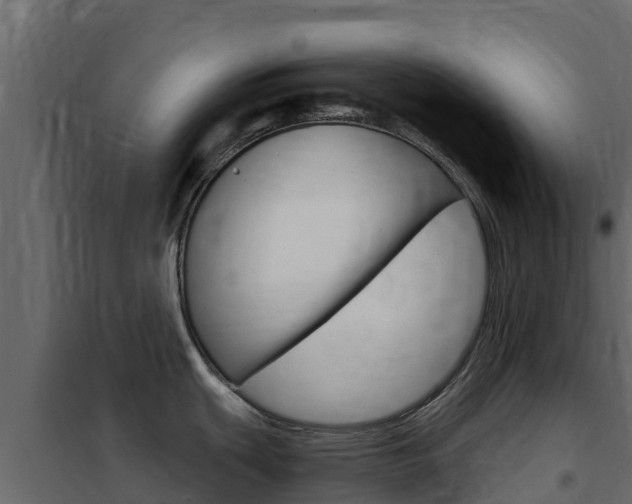X0000102491439200808081046