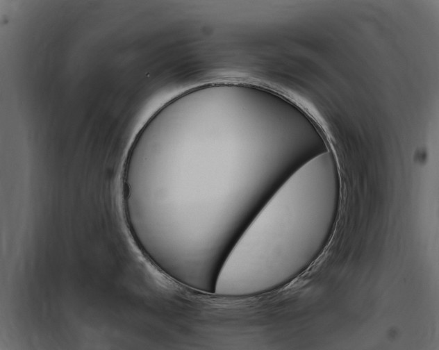 X0000102491440200808081046