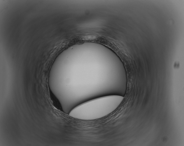 X0000102491441200808081045
