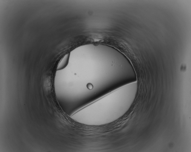 X0000102491442200808081045
