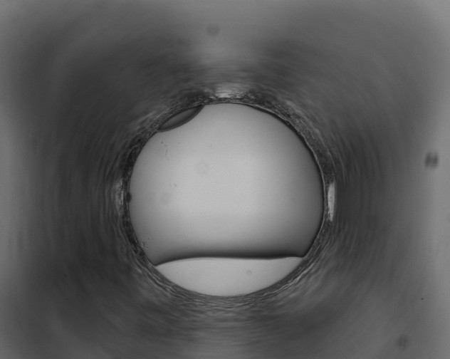 X0000102491443200808081045