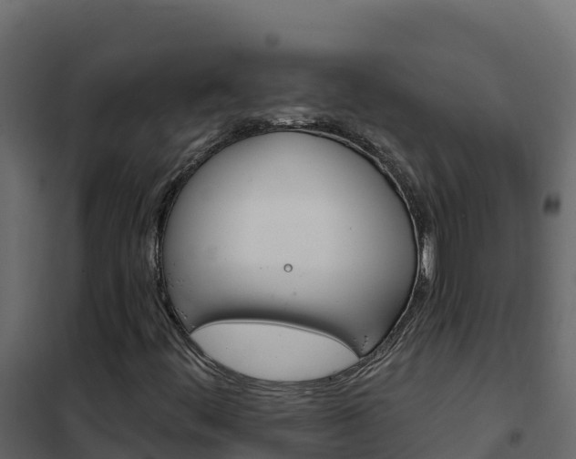 X0000102491444200808081045