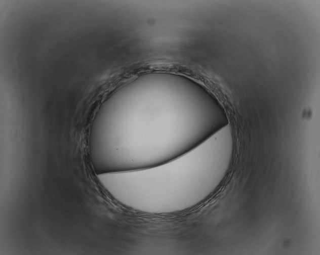 X0000102491445200808081045