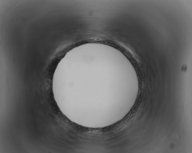 X0000102491447200808081045