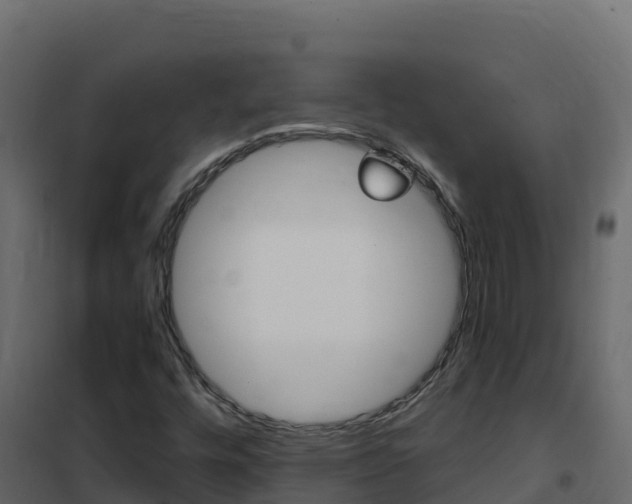 X0000102491448200808081045