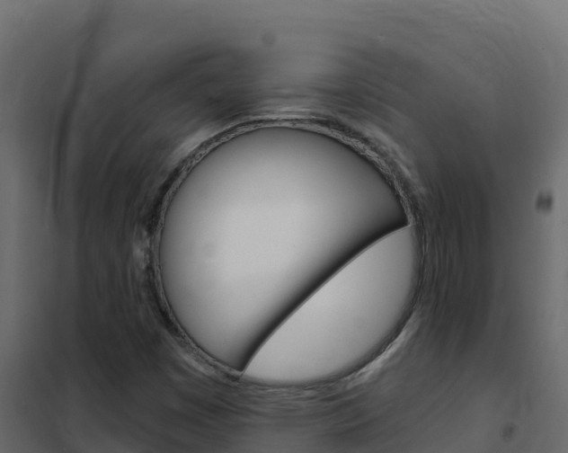 X0000102491449200808081045