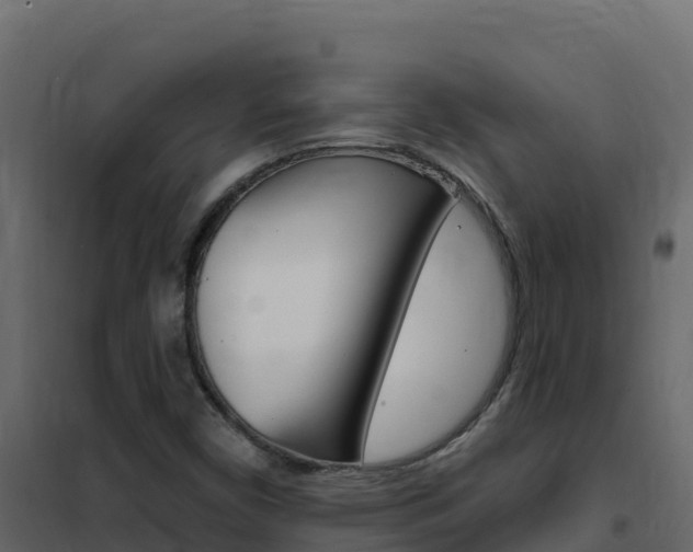 X0000102491450200808081045