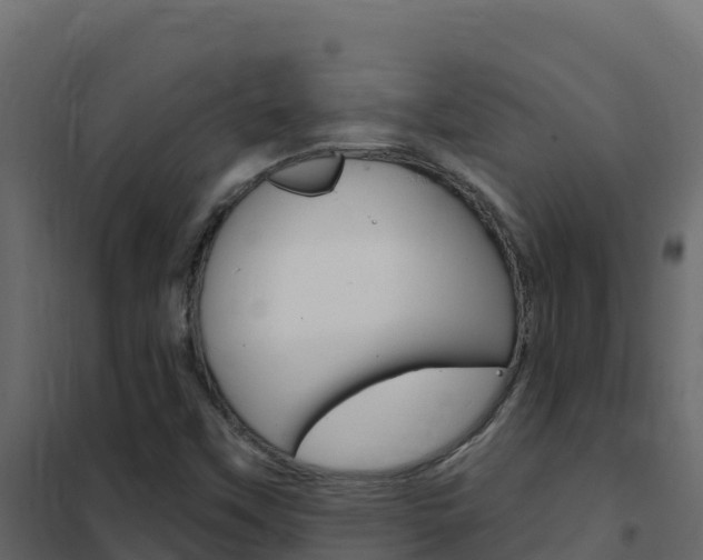 X0000102491451200808081045