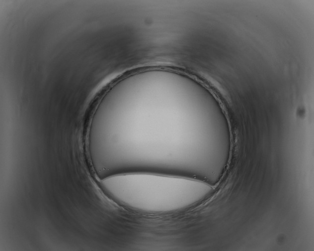 X0000102491452200808081045