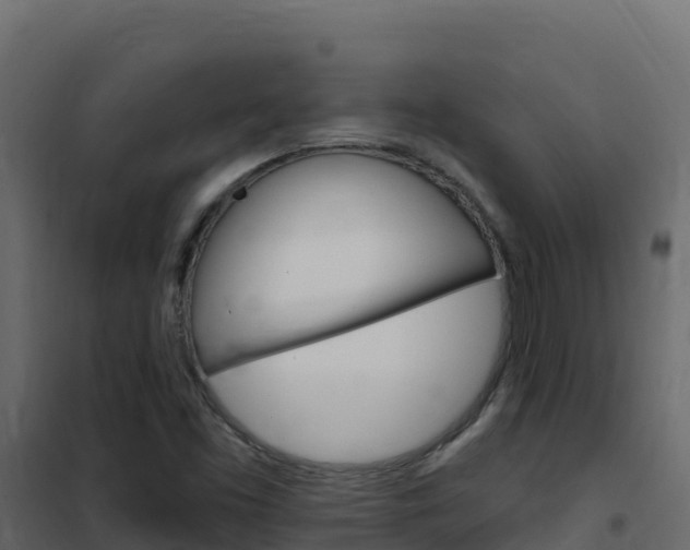 X0000102491453200808081045