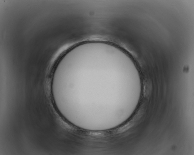 X0000102491454200808081045