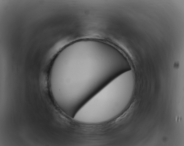 X0000102491455200808081045