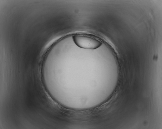 X0000102491456200808081045