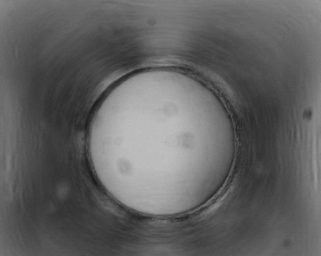 X0000102491457200808081045