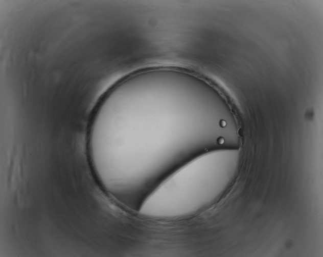 X0000102491460200808081045
