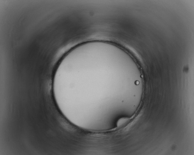 X0000102491461200808081045