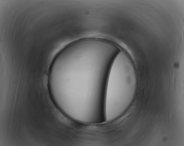 X0000102491463200808081045