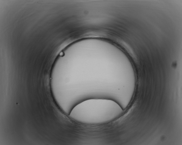 X0000102491465200808081045