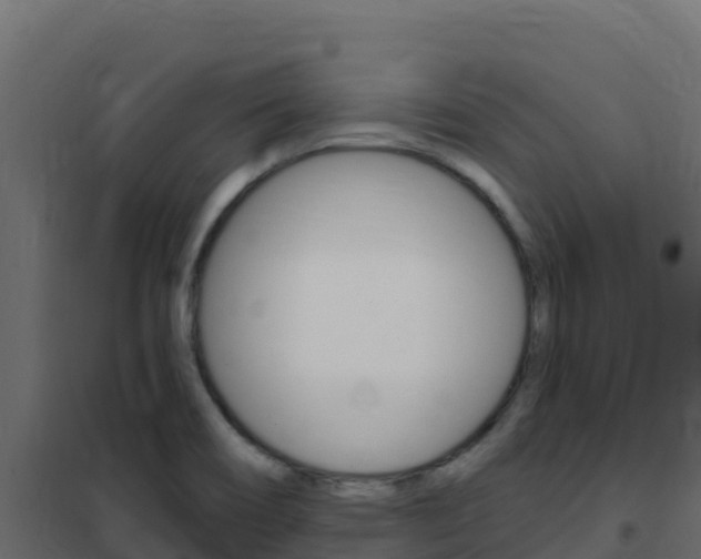 X0000102491466200808081045