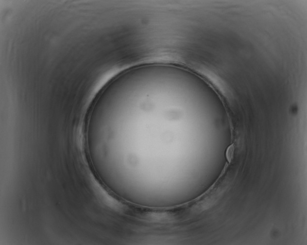 X0000102491468200808081045