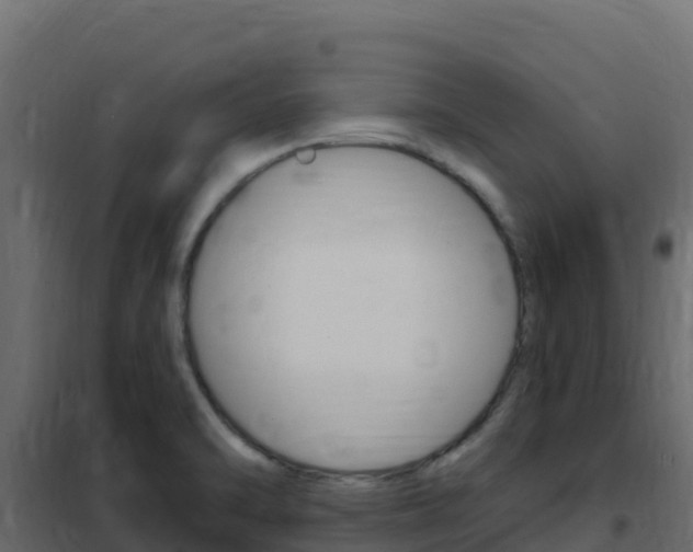 X0000102491470200808081045