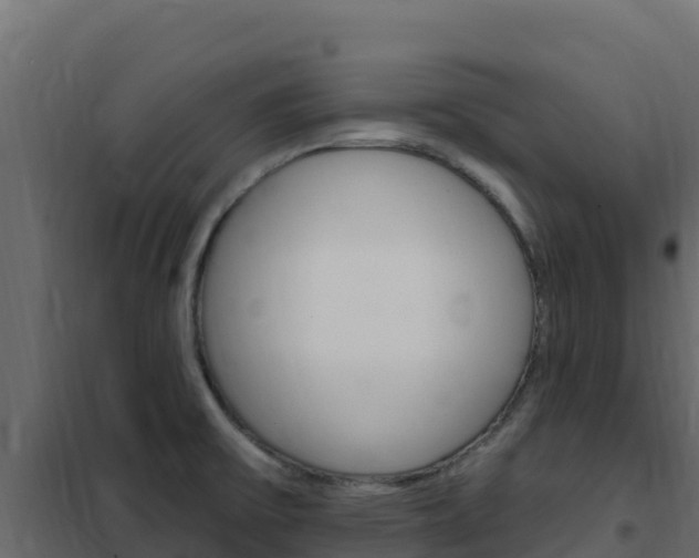 X0000102491475200808081045