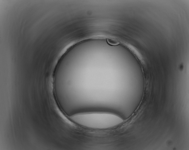 X0000102491476200808081045