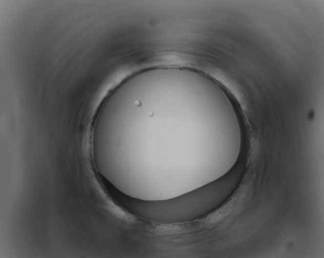 X0000102491477200808081044