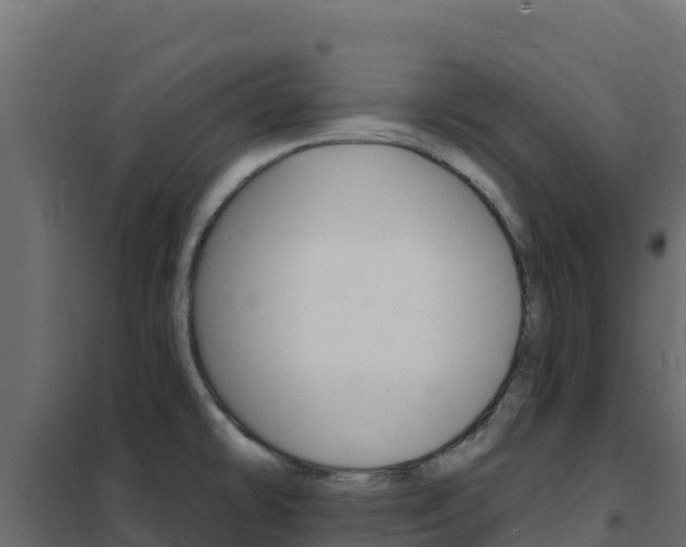 X0000102491478200808081044