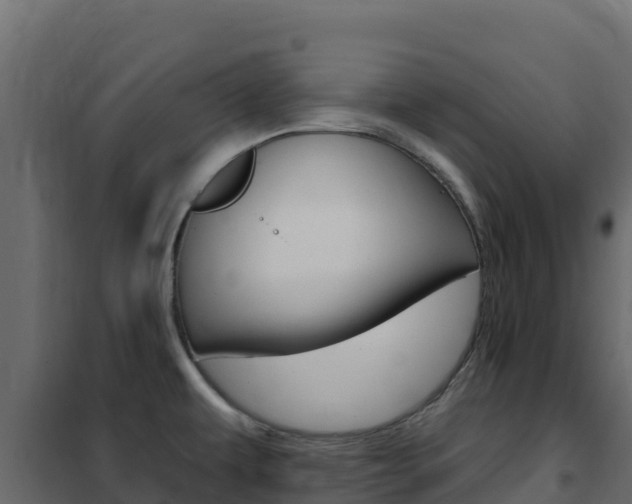 X0000102491479200808081044