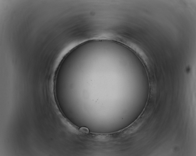 X0000102491480200808081044