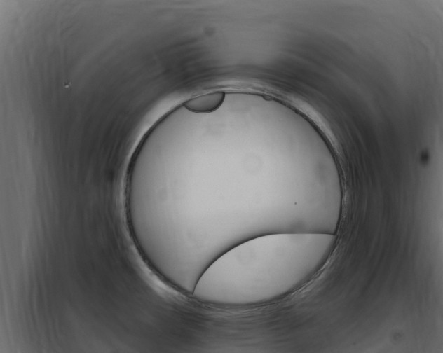 X0000102491482200808081044