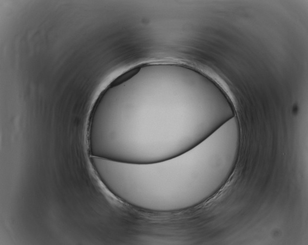 X0000102491485200808081044