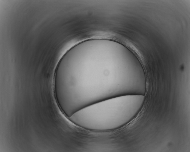 X0000102491487200808081044