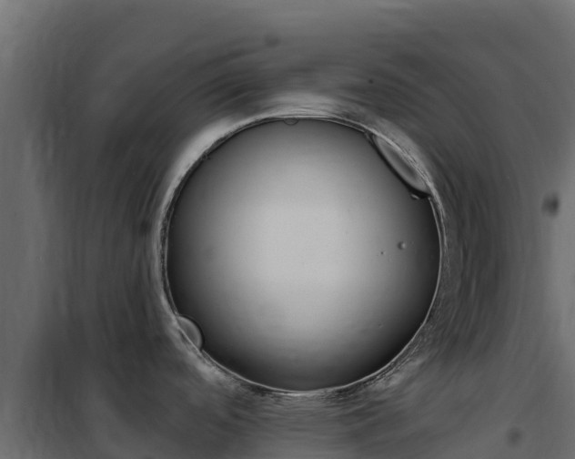 X0000102491488200808081044