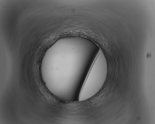 X0000102491489200808081044