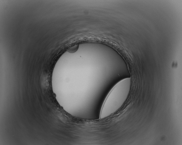 X0000102491490200808081044