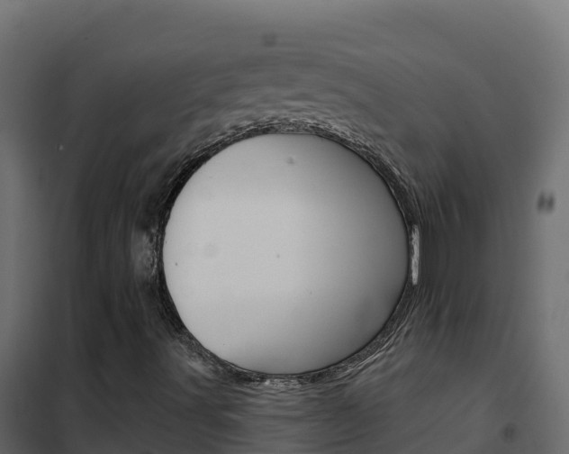 X0000102491491200808081044