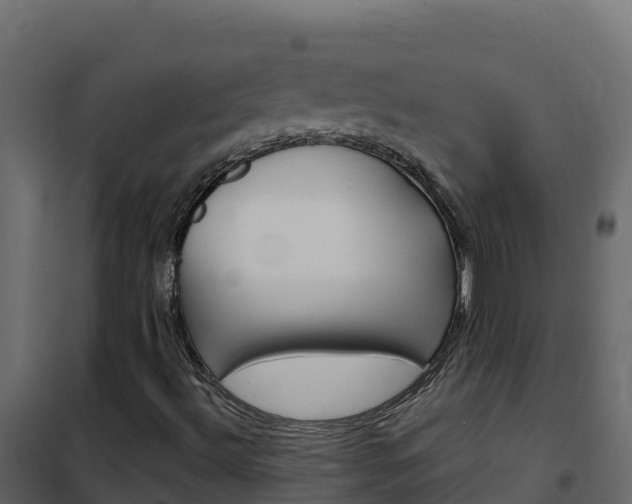 X0000102491492200808081044