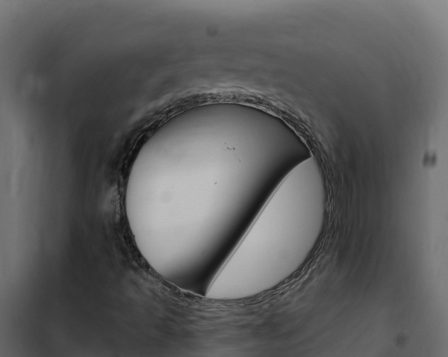 X0000102491493200808081044