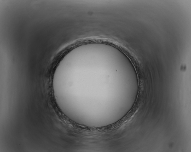 X0000102491494200808081044