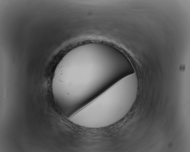 X0000102491495200808081044
