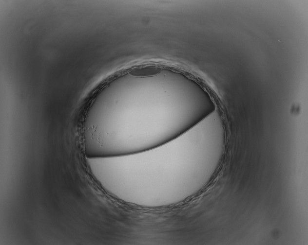 X0000102491496200808081044