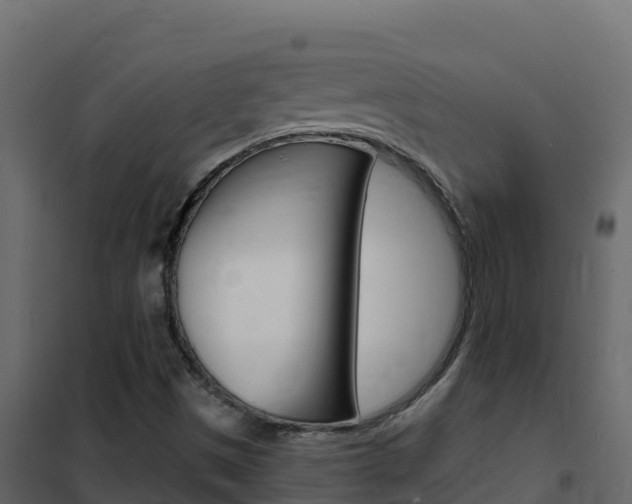 X0000102491497200808081044