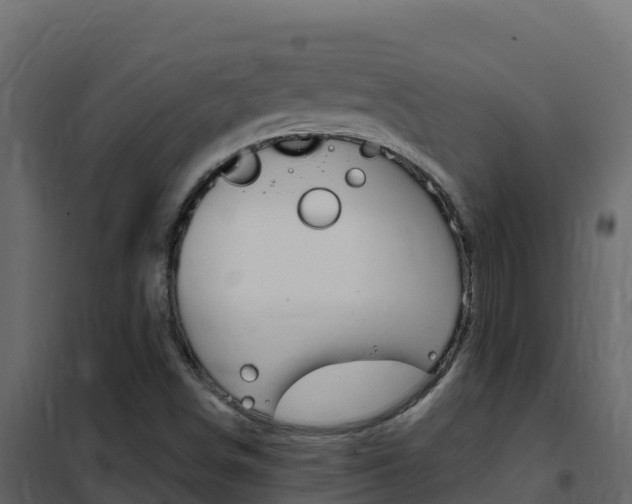 X0000102491498200808081044