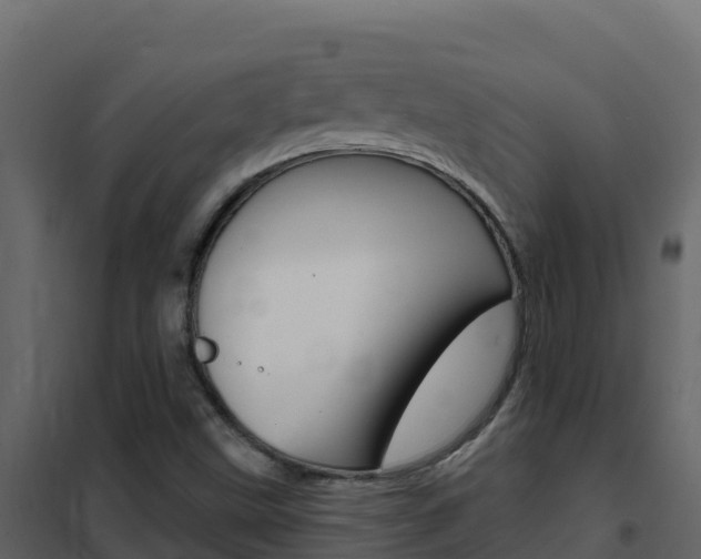 X0000102491499200808081044
