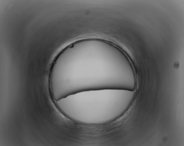X0000102491500200808081044