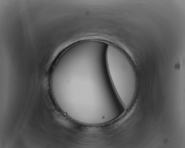 X0000102491501200808081044